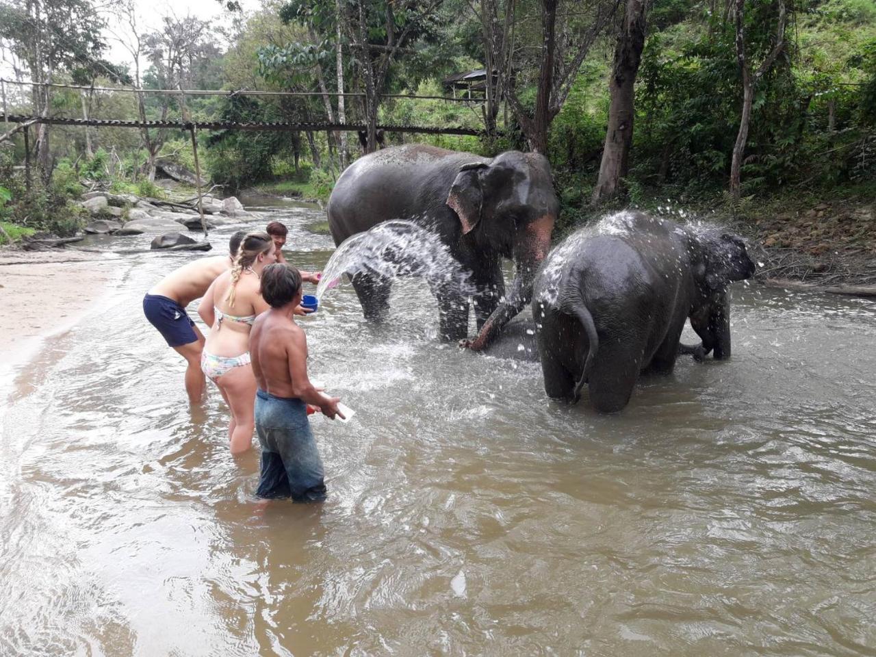 Keta' Jungle Trek House Vandrerhjem Chiang Mai Eksteriør bilde
